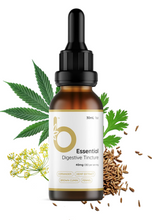 Load image into Gallery viewer, Essential Digestive Tincture (gut health)