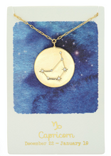 Load image into Gallery viewer, Capricorn gold coin necklace